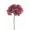 FLORA HYDRANGEA ODA C/GELO AUBERGINE 46CM