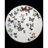 VA PR MARCAD SILK ROAD BUTTERFLY PARADE PN