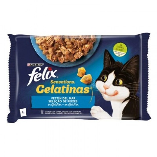 FELIX GELATINAS SALMAO CAMARAO TRUTA ESPINAFRES 4 85G